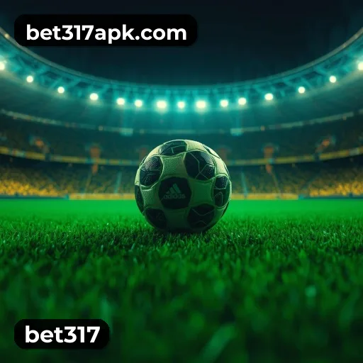 Suporte 24 horas bet317